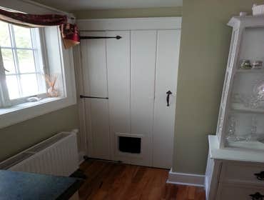 origional door with cat door.
