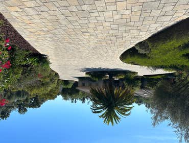 Photos by Baja Landscape Design #2