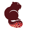 Castor Construction Group logo