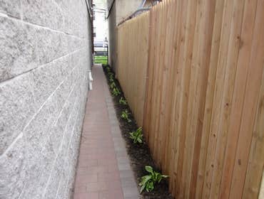 Small City Backyard What a mess. Stones and Const. debris is what covered this yard. Some minor tree work needed to be done as well as Sod , Evergreen