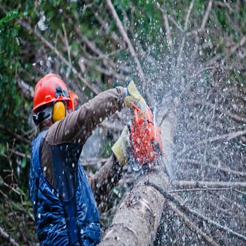Indianapolis Landscaping Services