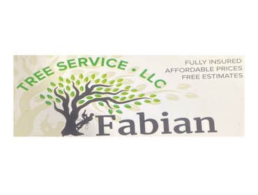 Photos by Fabian Tree Service LLC #1 Trees make the land livable. And yet, sometimes, they need removal, pruning, and stump grinding to clear the area 