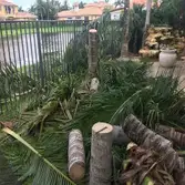 King Landscaping LLC