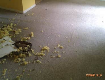 Project photos from Executive Cleaning Service Think there may be a leak.