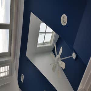 Projects by Action Painting And Restoration