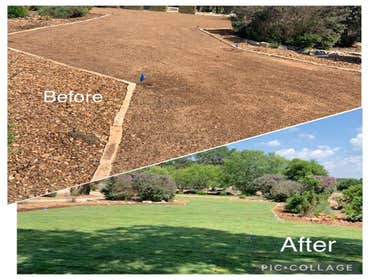 Photos by D.A. Martinez Tree Service #7
