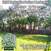 Silverson Tree Services & Landscaping - Saint Petersburg logo