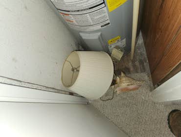 Photos by D&A Flooring Painting LLC #69