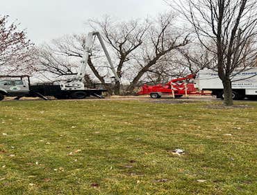 Photos by 2 Rivers Tree Service & Hardscapes #1