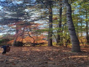 Photos by Carias Landscaping and Maintenance, LLC #2