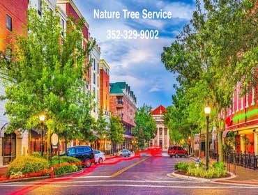 Photos by Nature Tree Service of Gainesville #1