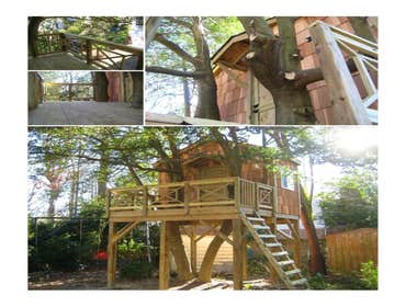 Tree house