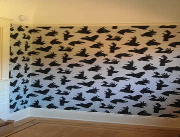 Photos from Shs Paper Hanging and Painting LLC