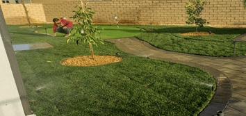 Green Advisor, Inc.