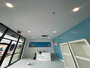 Barts Job - Dog Grooming