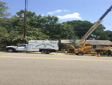 Photo(s) from Bonilla Tree Service Inc