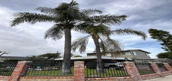 Photos by Majestic Tree Care Inc #2