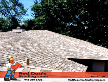 Photos by Red dog's Roofing of Florida #1