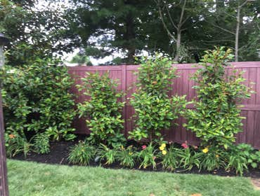 Photos from Top Notch Fence