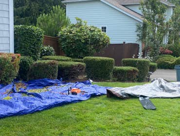 Photos by Hernandez Landscaping #1