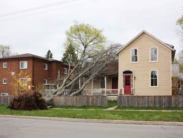 Our Emergency Services for water, fire and mold mitigation and restoration are only one call or click away. The rain season is upon us, and with extrem