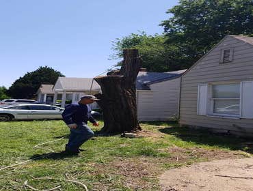 Photos by K&r Tree Service LLC #1