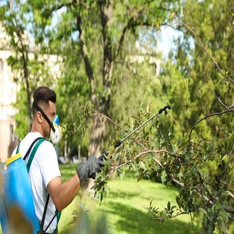 Photos by Five Season Tree Services #1