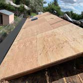 Ren Lyfe Roofing & Restoration 