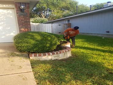 Photos by Nava Tree Services#1
