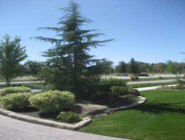Photos from Natural Lawns and Landscape