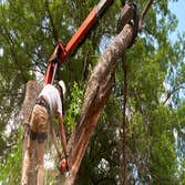 Photos by Fortress Tree Service Bellevue #1