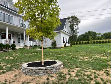 Photos by Landscape PRO #2