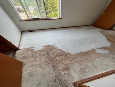 Photos by Gus's Premium Carpets Inc #1