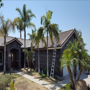 Tile Roofing