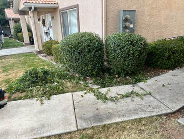Photos by Landpro Landscaping and Maintenance LLC