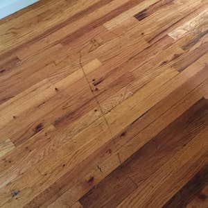 Photos by Erazo Construction and Painting LLC #8