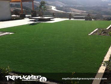 Photos from Replicated Grass Systems