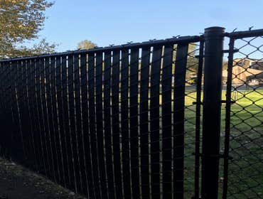 Chain Link