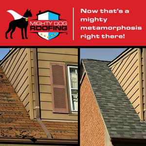 Mighty Dog Roofing of NW Houston