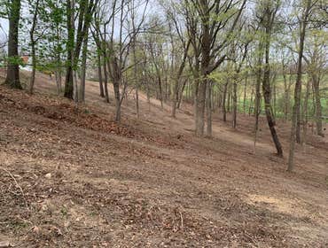 Photos by Trl Landscaping & Excavating LLC #1