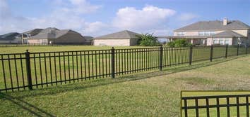 ornamental