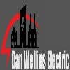 Dan Wellins Electric logo
