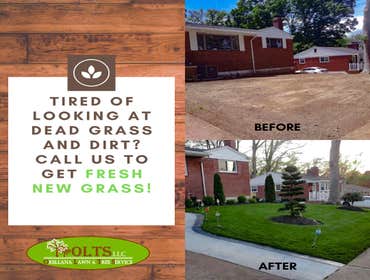 Photos by Orellana Lawn & Tree Services #5