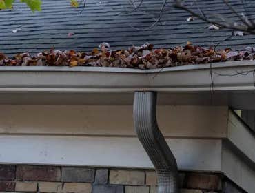 Photos by Alpha Roofing #1