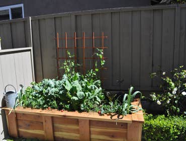 Landscaping
