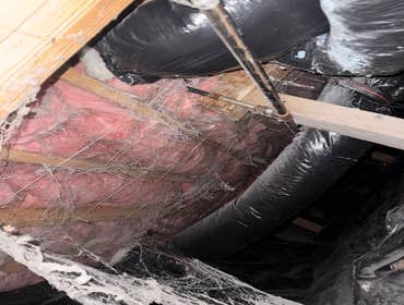 Photos by Premium NW Contractors #1