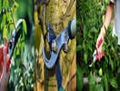 Works by Panfilo Landscaping