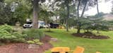 Photos by Selvins Tree Care #3