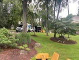 Photos by Selvins Tree Care #3