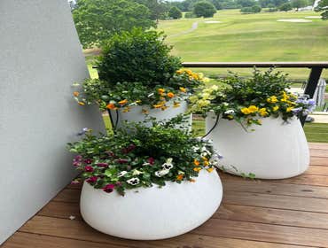 Photos by Hernandez ASSOC. Landscaping